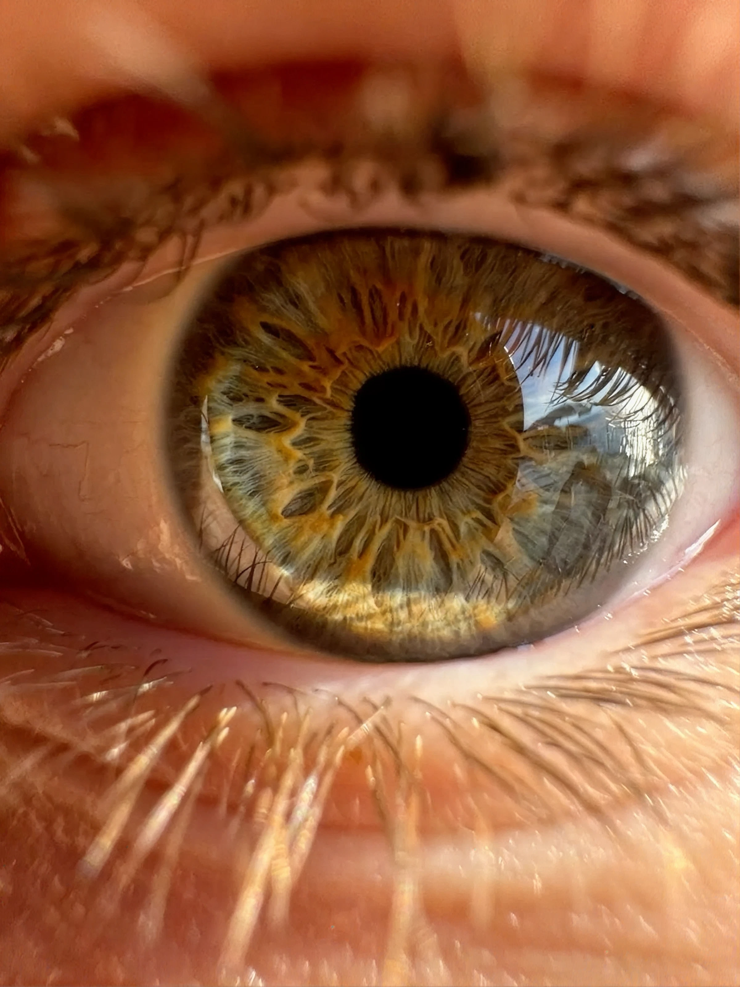Extreme macro photograph of a human eye